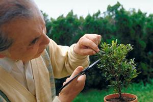 テクニカルサポートで働く派遣会社
